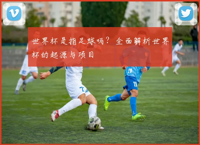 世界杯是指足球吗?全面解析世界杯的起源与项目