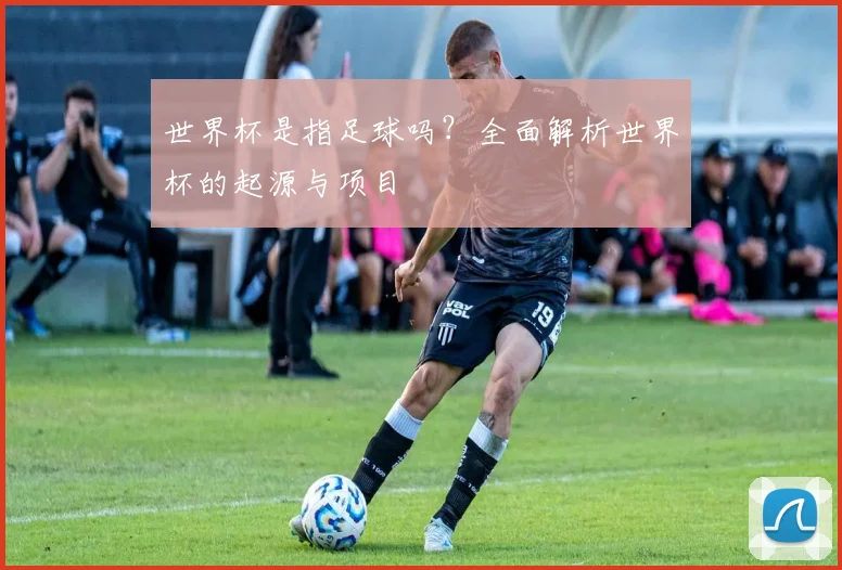 世界杯是指足球吗?全面解析世界杯的起源与项目