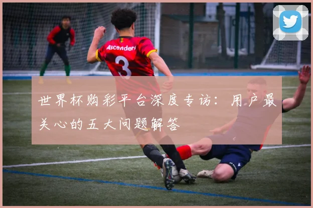 世界杯购彩平台深度专访：用户最关心的五大问题解答
